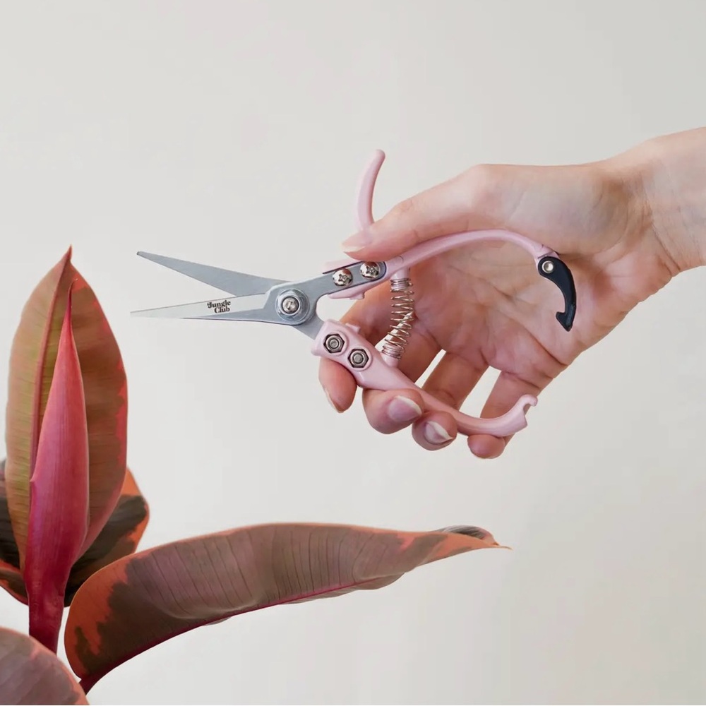 Pruning Shears